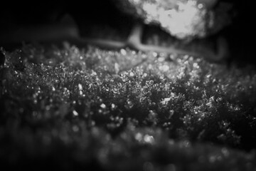 Captivating macro image reveals intricate texture of ice and frost crystal, creating shimmering, cold surface. delicate, frozen beauty of winter abstract patterns evokes serene and quiet feeling