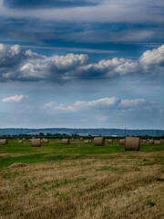 Hay bales on a sunny field with clouds in the sky. Summer rural landscape with hay rolls and blue sky