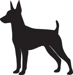 Silhouette of an alert and slender dog breed standing alertly ready for action