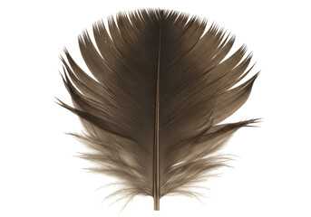 Detailed brown feather isolated PNG, avian plumage element for design and decoration on transparent background