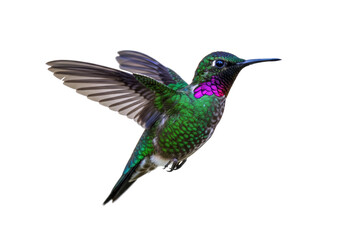 Colorful Rufous-throated hummingbird flying isolated PNG, vibrant green and magenta bird on transparent background