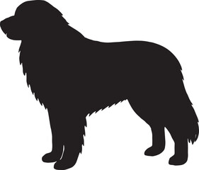 Majestic silhouette of a newfoundland dog standing proudly side profile