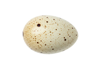 Speckled quail egg isolated on transparent background, single spotted egg PNG for Easter and spring design