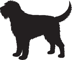 Silhouette of a shaggy dog breed standing alert and proud