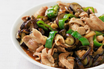 豚肉と夏野菜の炒め物