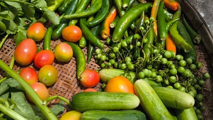 Fresh vegetables for cooking. Vegetables contain dietary fiber that helps cleanse the intestines.