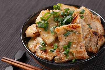 Fototapeta premium 塩豚丼