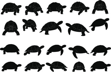 Turtle silhouette vector set, walking turtle, swimming turtle, standing turtle, top view, side view, black turtle icon, wildlife illustration, editable