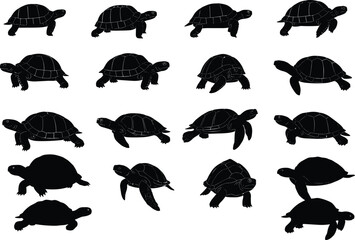Turtle silhouette collection, black reptile icons, tortoise vector set, wildlife animal shapes, shell creature poses, nature illustration pack, editable design elements