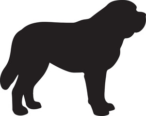 Majestic saint bernard dog silhouette standing proudly in profile view animal