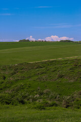 Naklejka premium Green landscape with rolling hills, distant farm buildings, and blue sky. East Sussex countryside, England