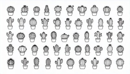 Obraz premium Collection of lined potted cacti in various shapes, black and white