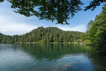 Fototapeta premium Serene lake surrounded by dense forests reflecting a clear sky during a calm afternoon