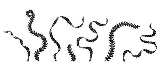 legant curvy Art nouveau style seaweed hand drawn monochrome silhouette vector illustration set