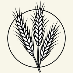 Hyper Realistic Golden Oat Stalks Illustration Botanical Grain Design for Organic Food, Packaging & Eco Branding.