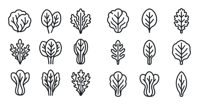 Leafy Greens Icons
