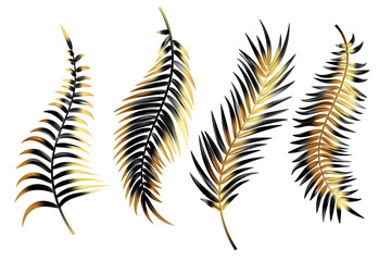 Gold and black palm leaves. Vector coconut tree branch isolated on white background. Exotic realistic foliage set. Branch decoration for luxury design. Botanical graphic elements collection
