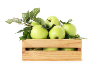Ripe green apples in wooden crate isolated on white
