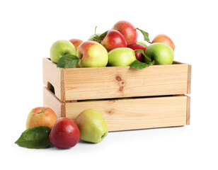 Fresh ripe apples in wooden crate isolated on white
