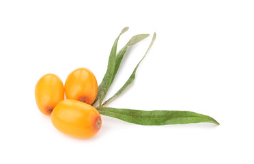 Fresh sea buckthorn berries and green leaves isolated on white
