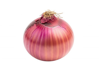 Red onion with papery skin and roots isolated on a transparent background
