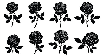 Elegant black silhouettes of blooming roses on a plain white background