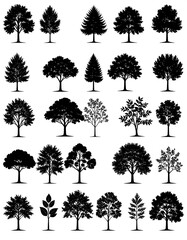 Fototapeta premium A collection of detailed black silhouette tree illustrations against white