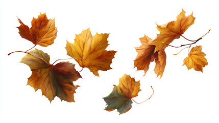 Fototapeta premium leaf leaves isolated autumn winter season background falling fall platanus tree wid air w Stock Illustration