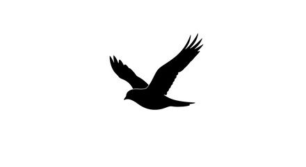 Graceful falcon soaring with wings spread wide in powerful flight against a clean white background