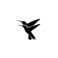 Two black hummingbird silhouettes flying together vector