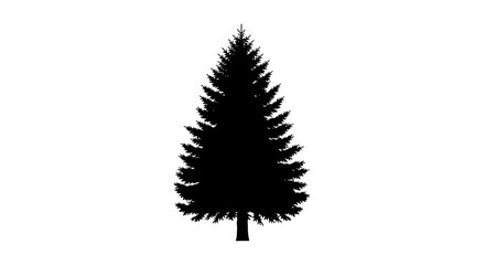 Stunning pine tree silhouette perfect for nature designs and winter themes