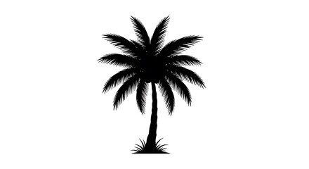 Iconic black silhouette of a majestic palm tree against a clean white background