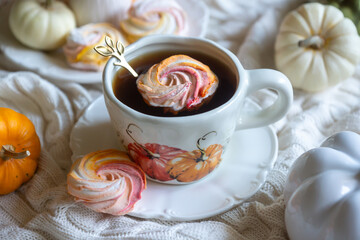 Autumn still life with rowan berries and pumpkins. October.