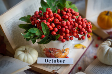 Autumn still life with rowan berries and pumpkins. October.