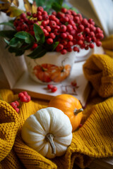 Autumn still life with rowan berries and pumpkins. October.