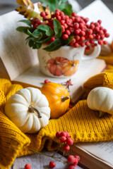 Autumn still life with rowan berries and pumpkins. October.