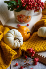 Autumn still life with rowan berries and pumpkins. October.