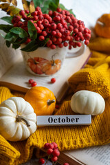 Autumn still life with rowan berries and pumpkins. October.
