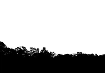 silhouette of a tree