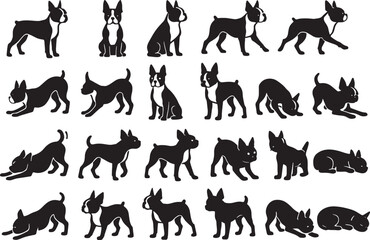 Diverse boston terrier poses silhouettes bundle for graphic design projects animal pet lover