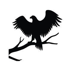 eagle in the sky