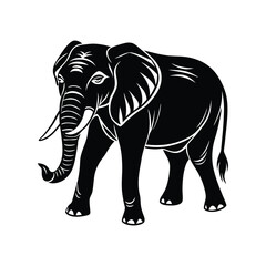 vector illustration of an elephant
