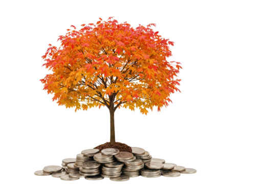 Autumn tree growing from pile of coins isolated, financial growth concept on transparent PNG
