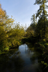 a small river in the autumn season with trees during leaf fall, a bright autumn with a river and trees on the shore in the autumn season