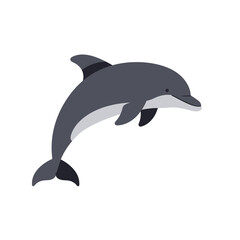 Fototapeta premium Majestic grey dolphin leaping gracefully out of ocean water during sunny day isolated on white background