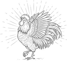 Naklejka premium Rooster crowing with open beak, rustic farm animal concept, vector line art illustration for coloring book, banner, print, sticker, logo