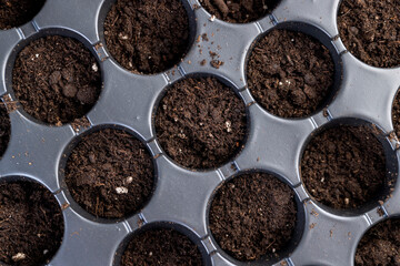 a plastic container with soil with a large number of round holes for growing seedlings, a black plastic tray for growing a large number of seedlings