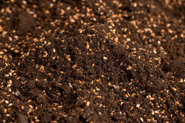 the brown fertile soil with the addition of ripe flax seeds to obtain a new crop, a large number of brown flax seeds scattered on brown soil in the field to harvest flax for industrial use
