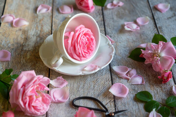 A cup of aromatic tea, a book and a rose on the table.