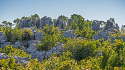 Bright natural landscape view of limestone formation at famous Mer des Rochers or Sea of Rocks in Coutach massif above Sauve village, Gard, France